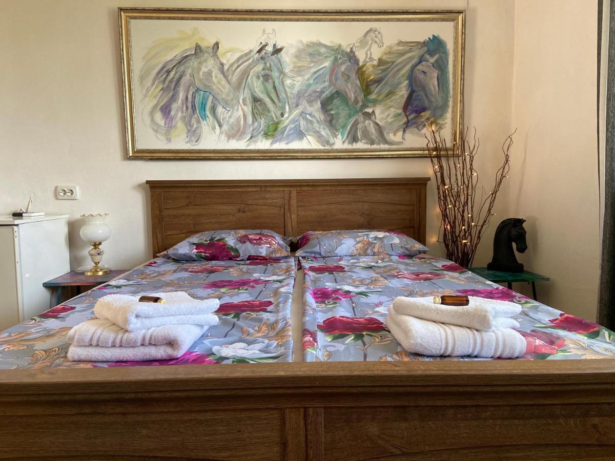 Guest House Hei Taka 索佐波尔 外观 照片