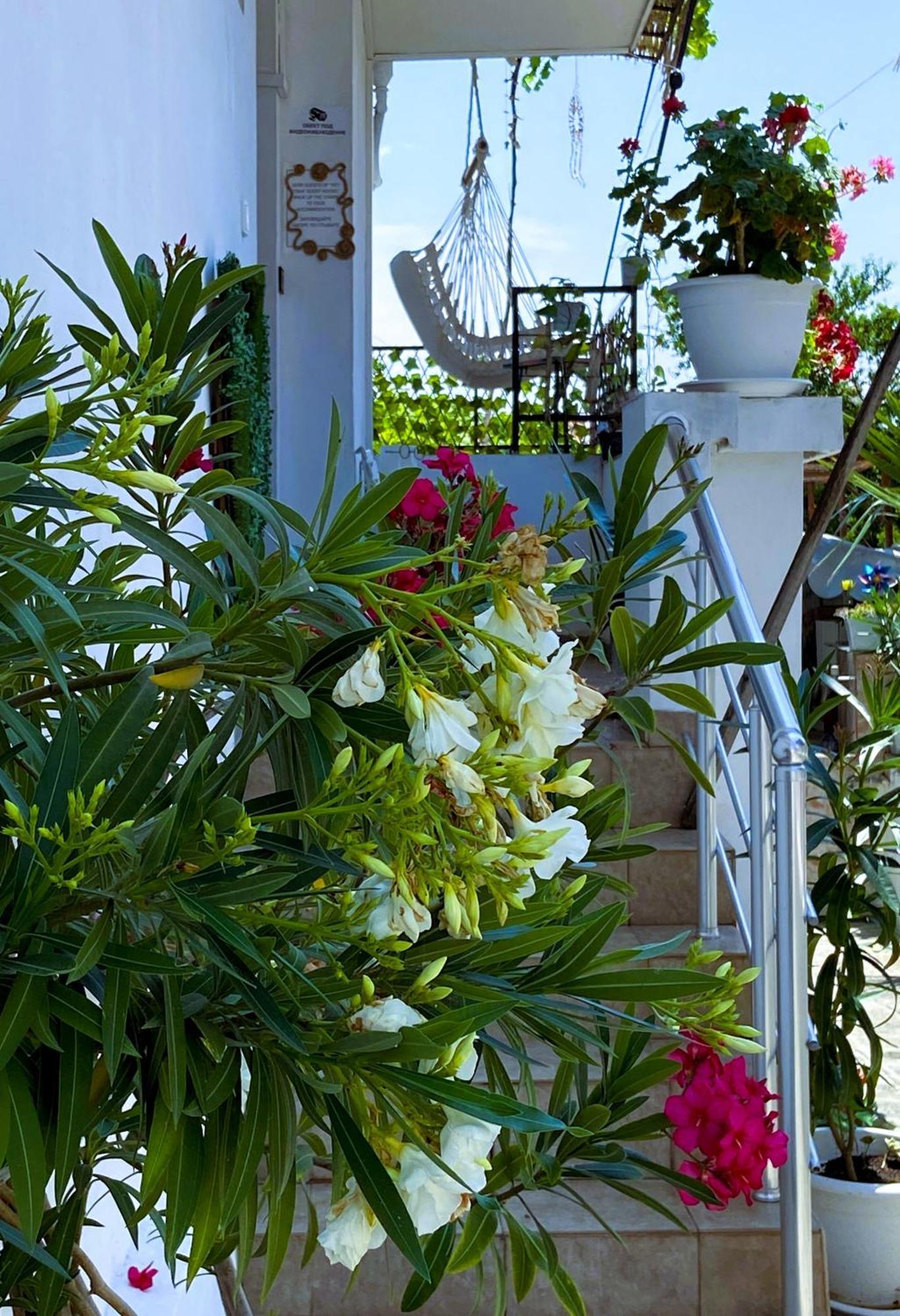 Guest House Hei Taka 索佐波尔 外观 照片
