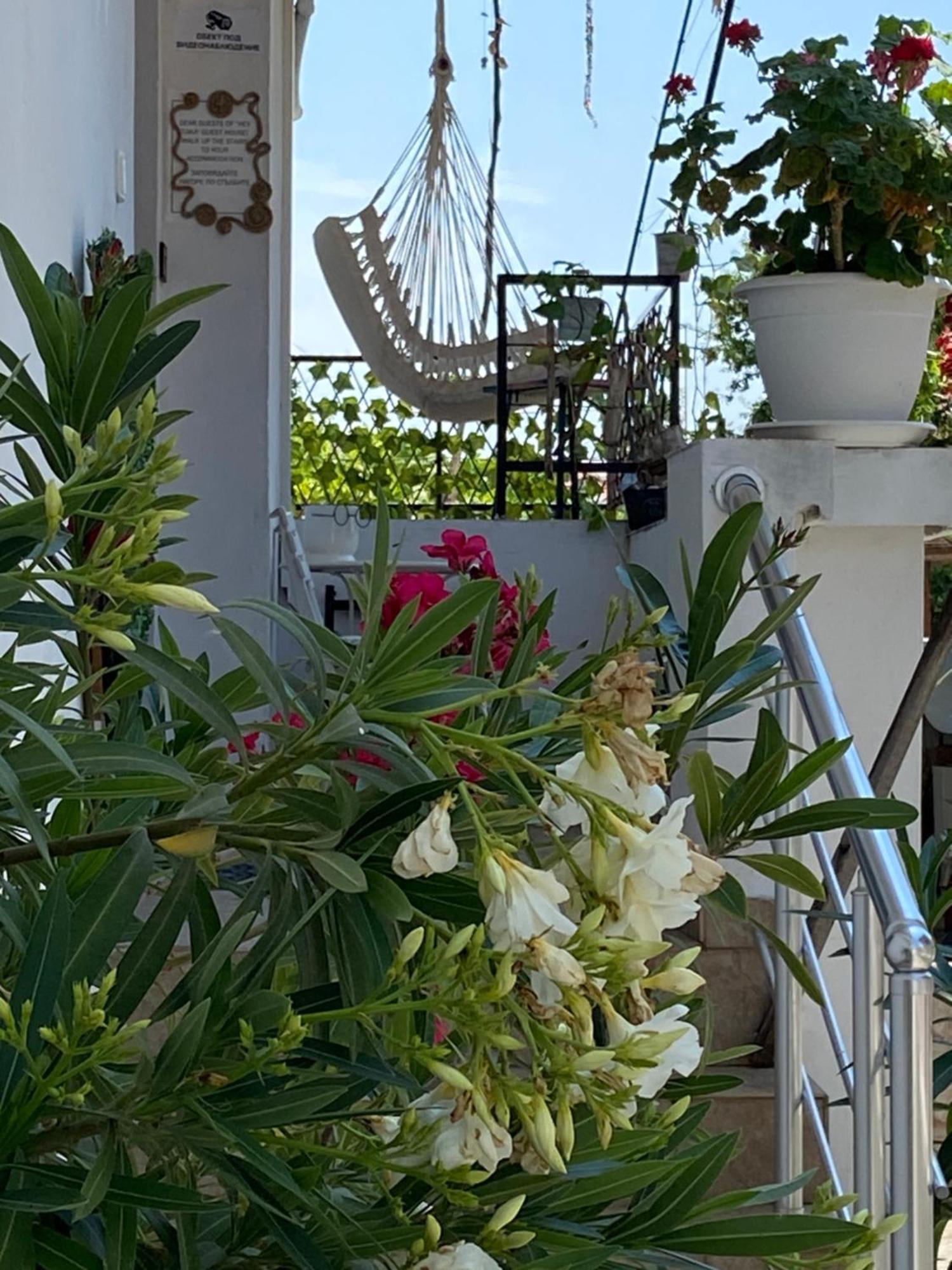 Guest House Hei Taka 索佐波尔 外观 照片